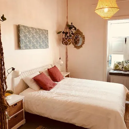 Cuarto Botanico