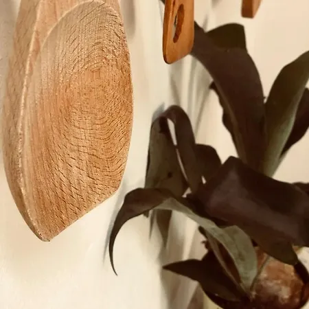 Cuarto Botanico Munique