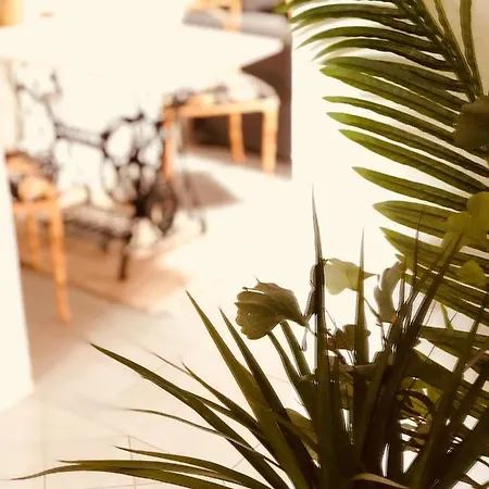 Holiday home Cuarto Botanico